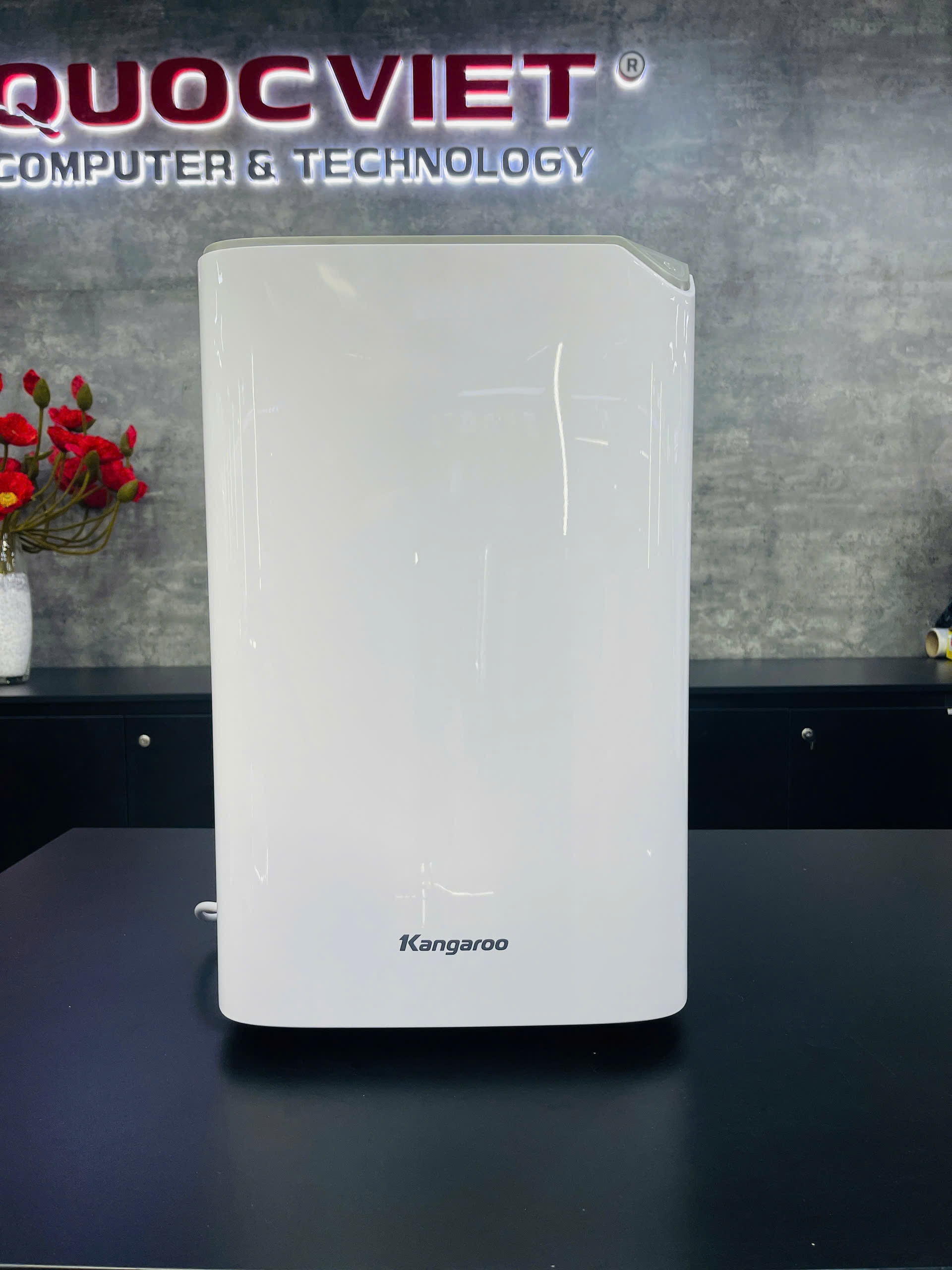 Máy hút ẩm Kangaroo KGDH20